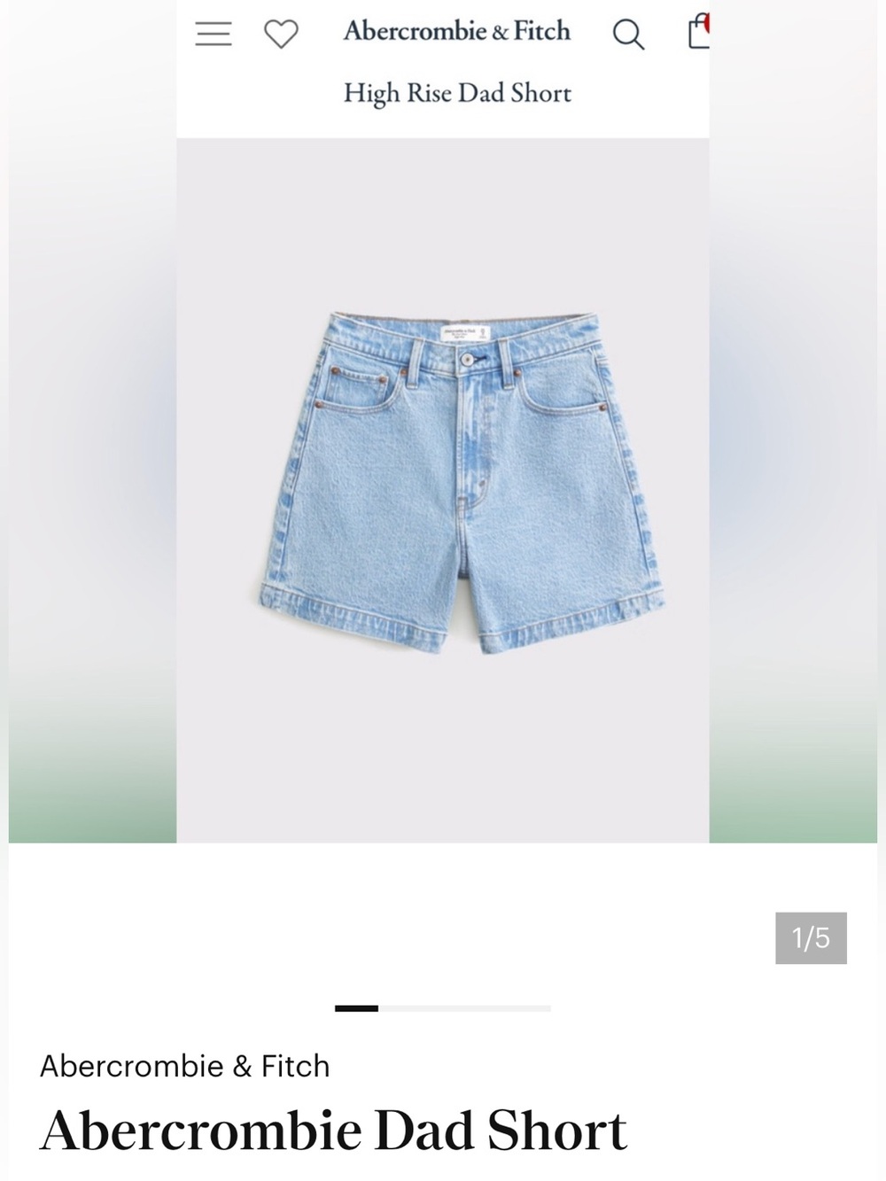 Abercrombie & Fitch High Rise Dad Short